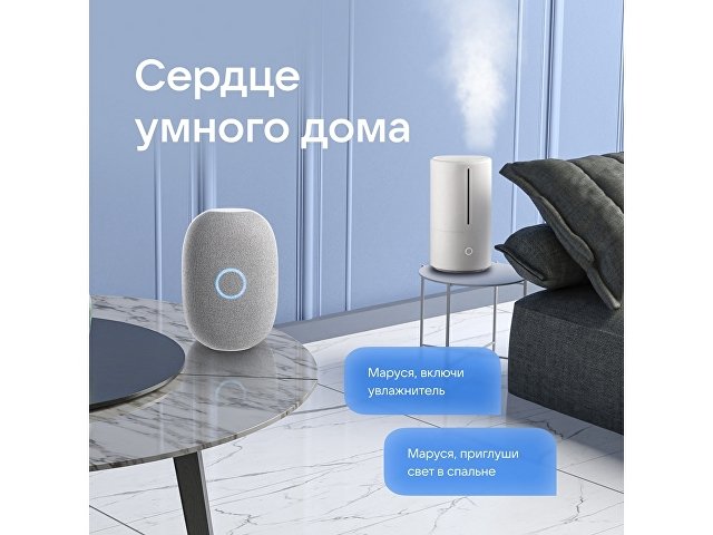 Умная колонка VK «Капсула» с голосовым помощником Марусей, 30 Вт