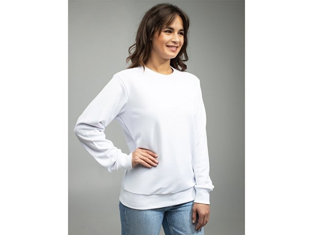 Свитшот для сублимации «Evolution» унисекс thumbnail