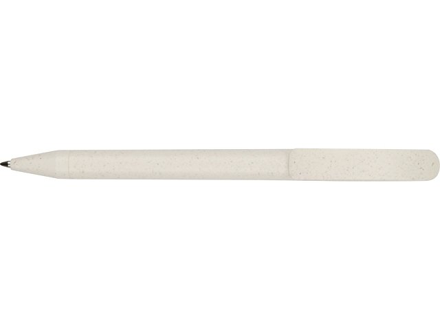 Ручка пластиковая шариковая Prodir DS3 TBB Eco thumbnail