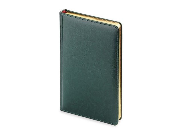 Ежедневник недатированный А4 «Sidney Nebraska» с золотым срезом thumbnail