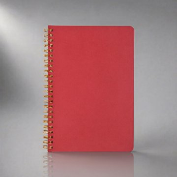 Бизнес тетрадь А5 «Pragmatic»