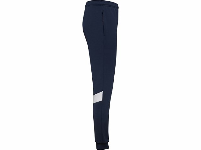 Брюки спортивные «Rodas», мужские