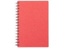 Блокнот А5 на спирали «Mania»