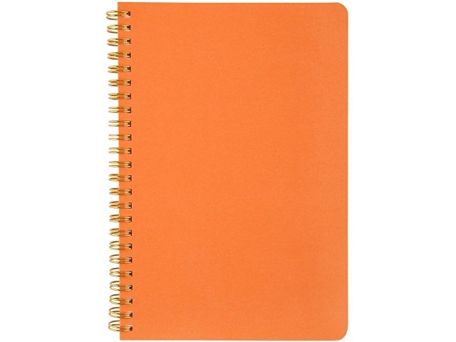 Бизнес тетрадь А5 «Pragmatic» thumbnail