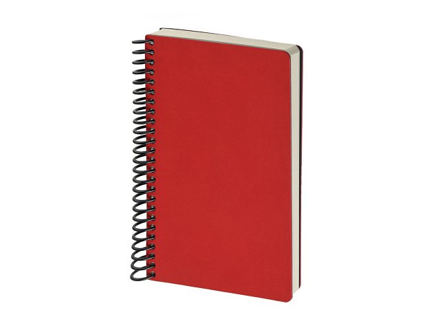 Ежедневник недатированный А5 «Agenda» thumbnail