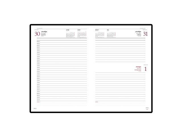 Ежедневник А5 датированный «Velvet» на 2025 год thumbnail