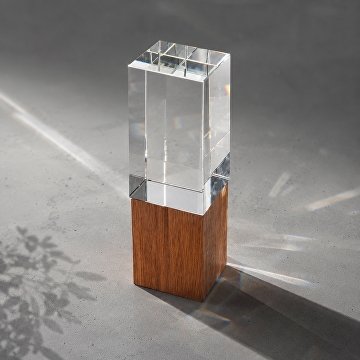 Награда «Wood and glass»