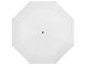 Зонт Ida трехсекционный 21,5", белый