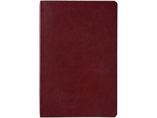 Ежедневник недатированный А5 «Megapolis Nebraska Flex» thumbnail