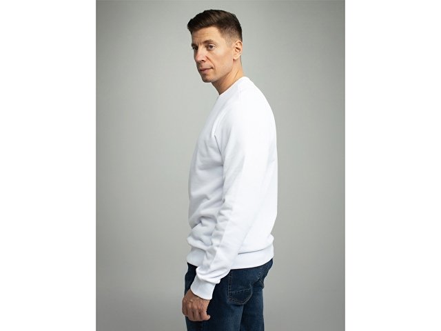 Свитшот для сублимации «Evolution» унисекс thumbnail