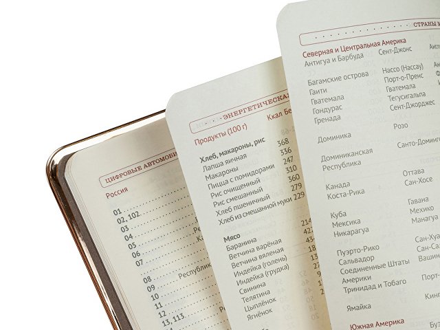 Ежедневник недатированный А5 «Chelsea» thumbnail