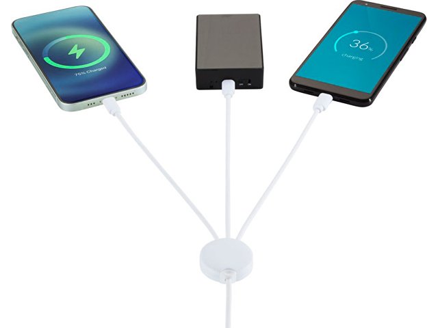 Зарядный кабель 5-в-1 «Pure» с противобактериальной присадкой thumbnail