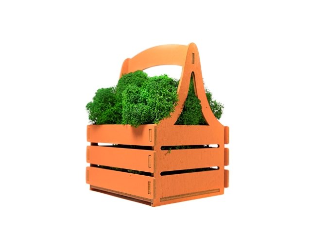 Композиция «Корзинка со мхом» thumbnail