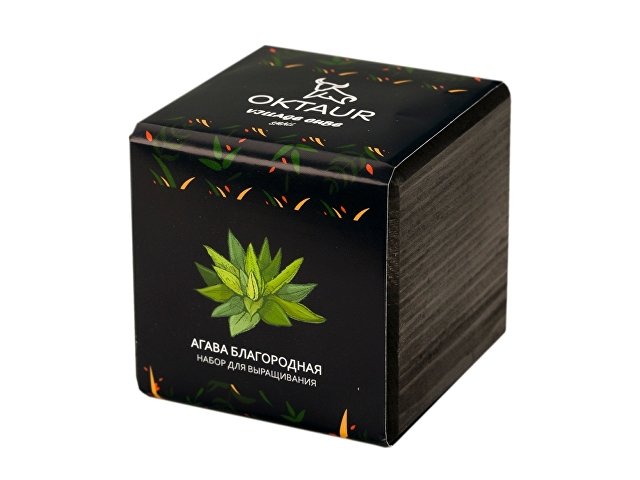 Набор для выращивания «Small village cube «Агава Благородная» thumbnail