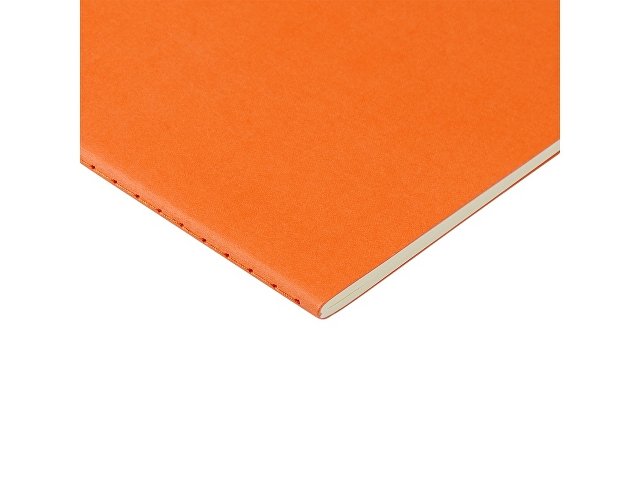 Бизнес-тетрадь А4 «Pragmatic» thumbnail