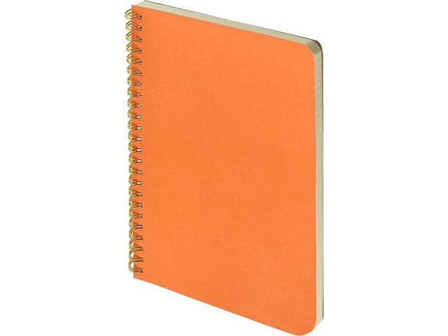 Бизнес тетрадь А5 «Pragmatic» thumbnail