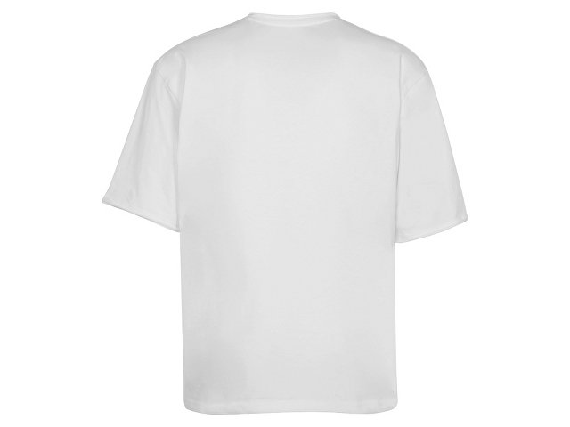 Футболка оверсайз «Liyon» унисекс thumbnail