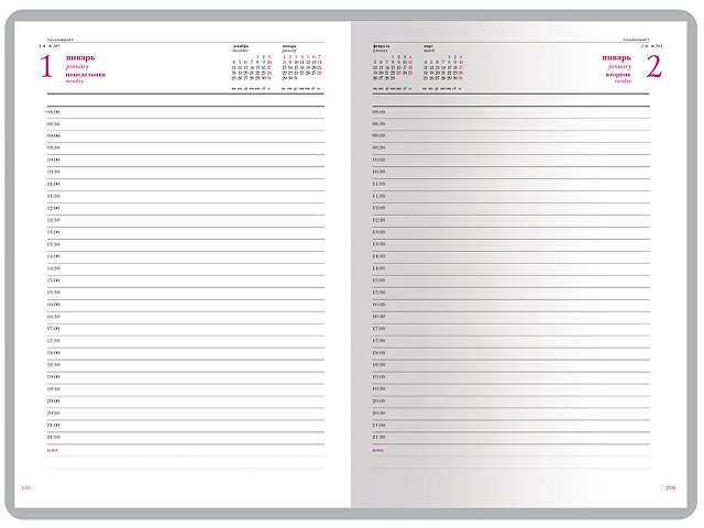 Ежедневник А5 датированный «Velvet» на 2026 год thumbnail