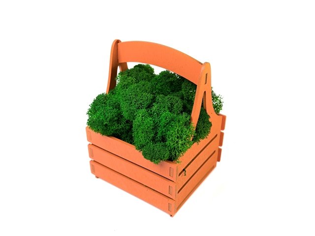 Композиция «Корзинка со мхом» thumbnail