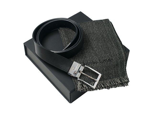 Подарочный набор: шарф шерстяной, ремень (арт. LPAE426)