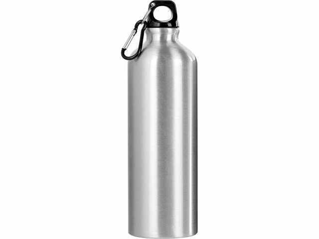 Бутылка «Hip M» с карабином, 770 мл thumbnail