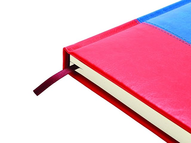 Ежедневник недатированный А5+ «Россия. Флаг»