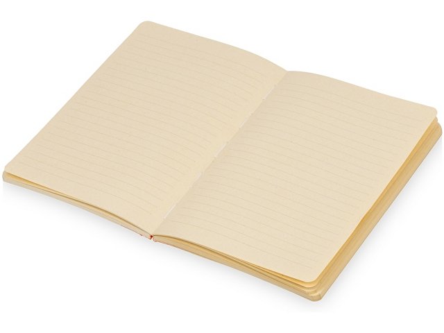 Блокнот А5 из переработанного тростника и RPET «Adiantum» thumbnail