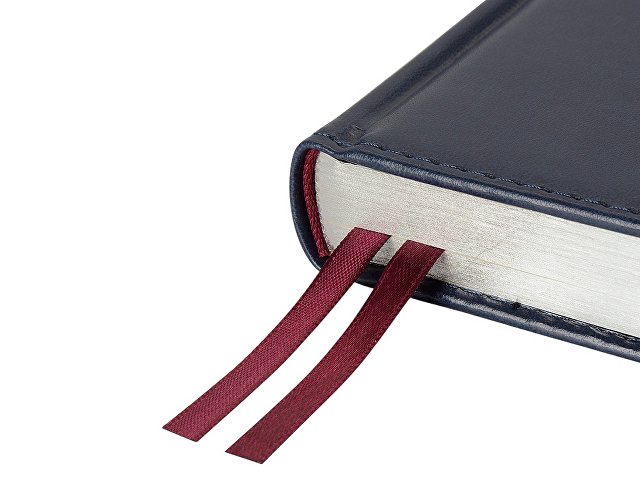 Ежедневник недатированный А5 «Parliament» thumbnail