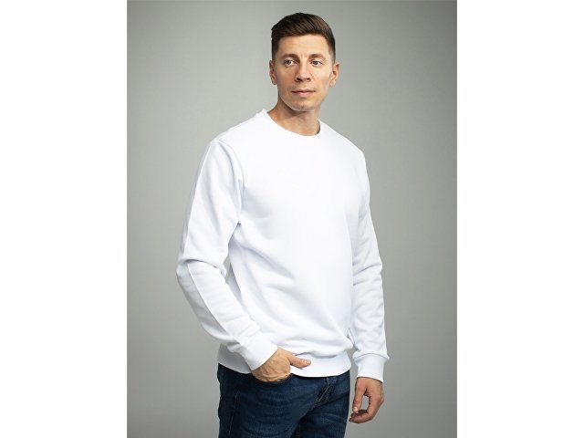 Свитшот для сублимации «Evolution» унисекс thumbnail